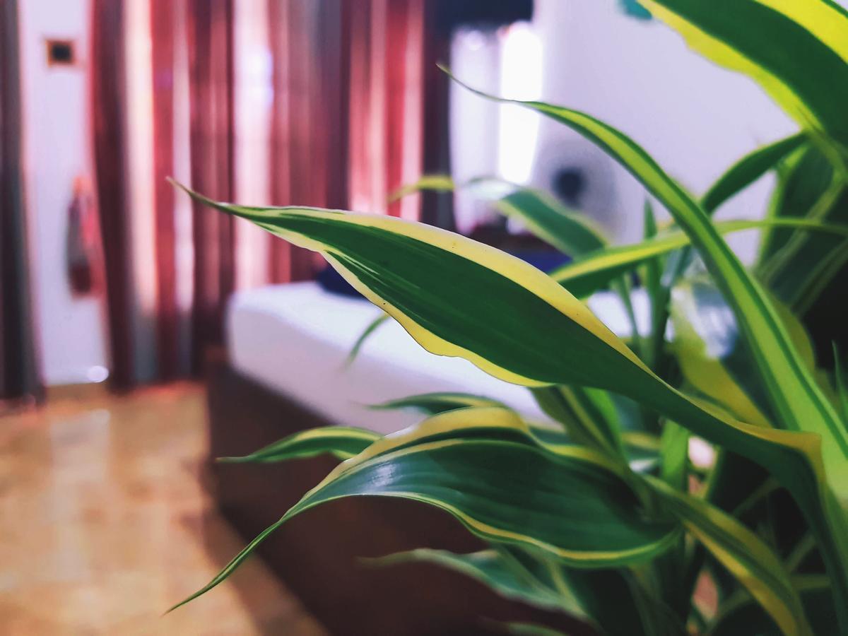 Leisure Dream Inn Ella Ngoại thất bức ảnh
